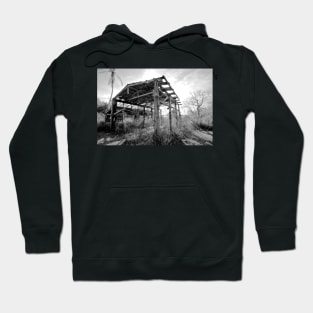 The Last Boathouse Standing Hoodie